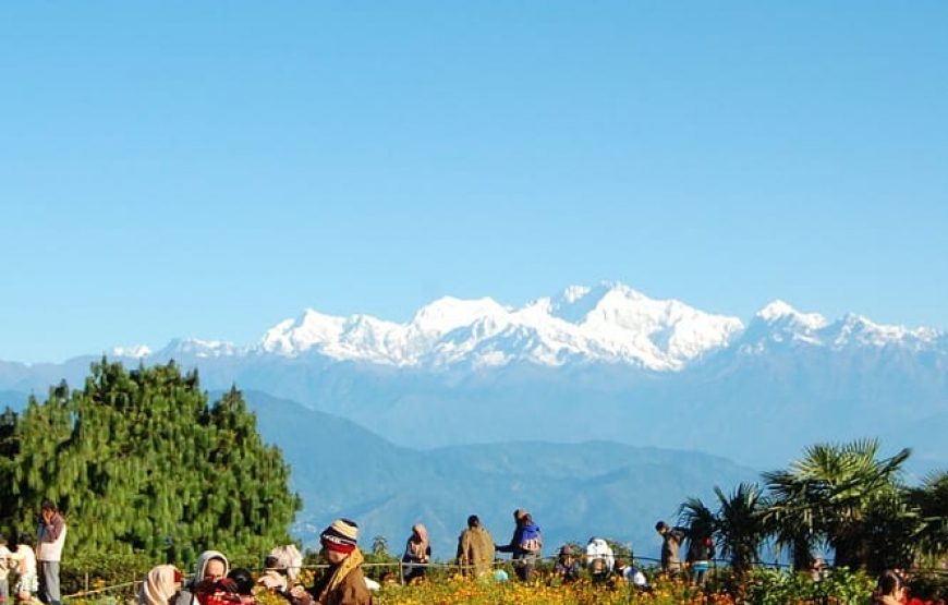 Delightful Darjeeling Tour-2 Night /3 Days