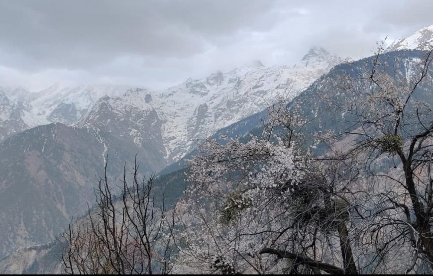 THE NATURE’S PORTRAIT – KALPA – KINNAUR TOUR – 7 Night/ 8 Days