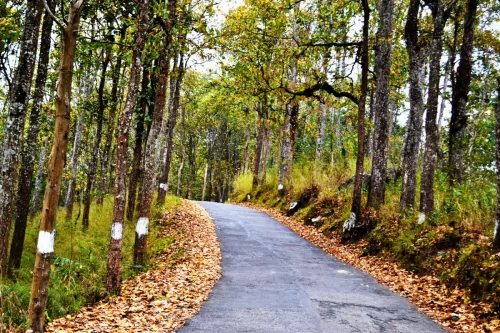 Classic Darjeeling tour package 3 nights Rock Garden monasteries
