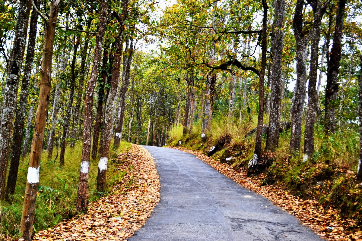 Classic Darjeeling tour package 3 nights Rock Garden monasteries