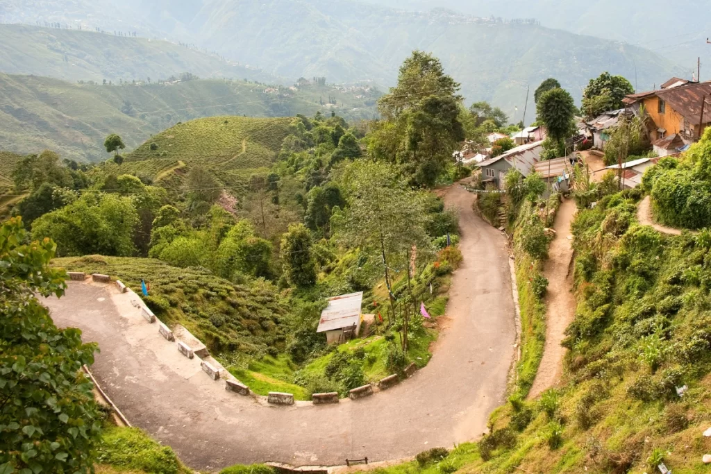 Darjeeling Mareybong tour package tea village forest retreat
