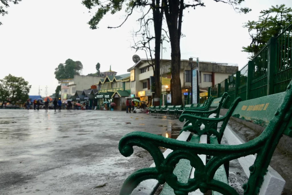 Luxury Darjeeling Pattabong tour tea estate stays mountain views