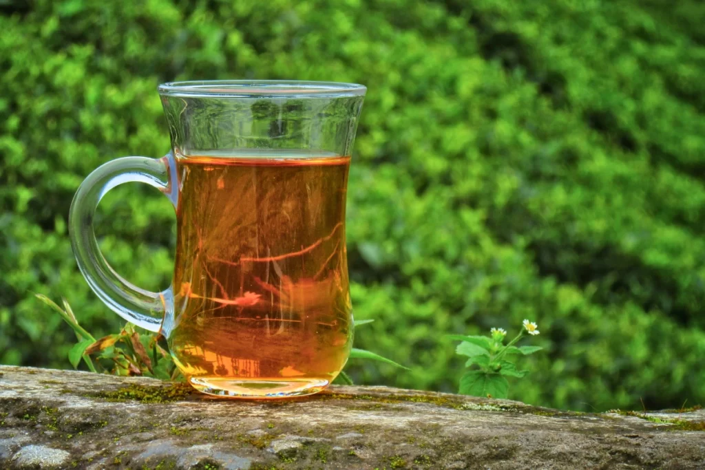 Darjeeling Takdah tour colonial retreats tea estates orange orchards