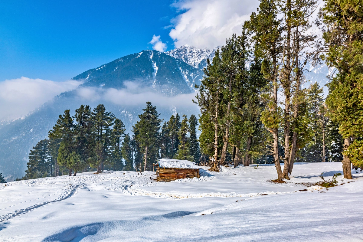 Premium Kashmir packages featuring valley discovery and mountain adventure experiences