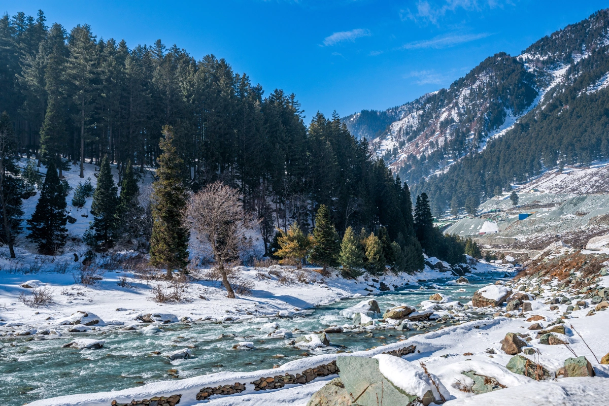 Spectacular Kashmir tour featuring paradise valley exploration and mountain adventures