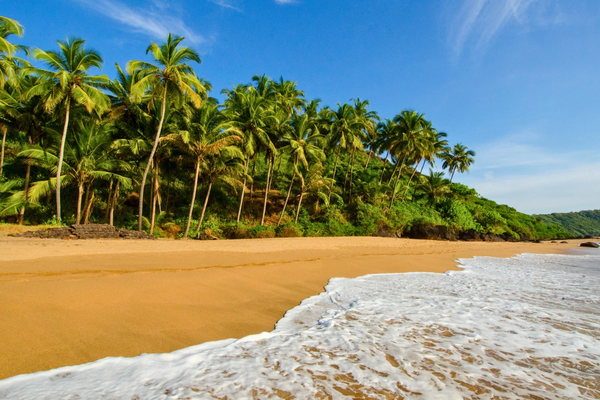 Incredible goa trip featuring beach paradise discovery and adventure experiences