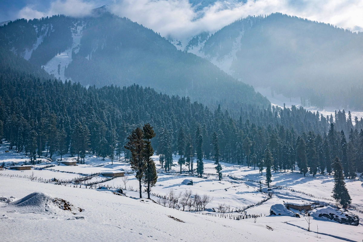 Kashmir tour package scenic view Srinagar Gulmarg Pahalgam Sonmarg valleys