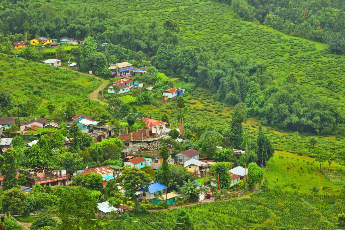 Darjeeling tour packages featuring heritage explorer with Tiger Hill, Kalimpong monasteries, tea gardens, cultural sites