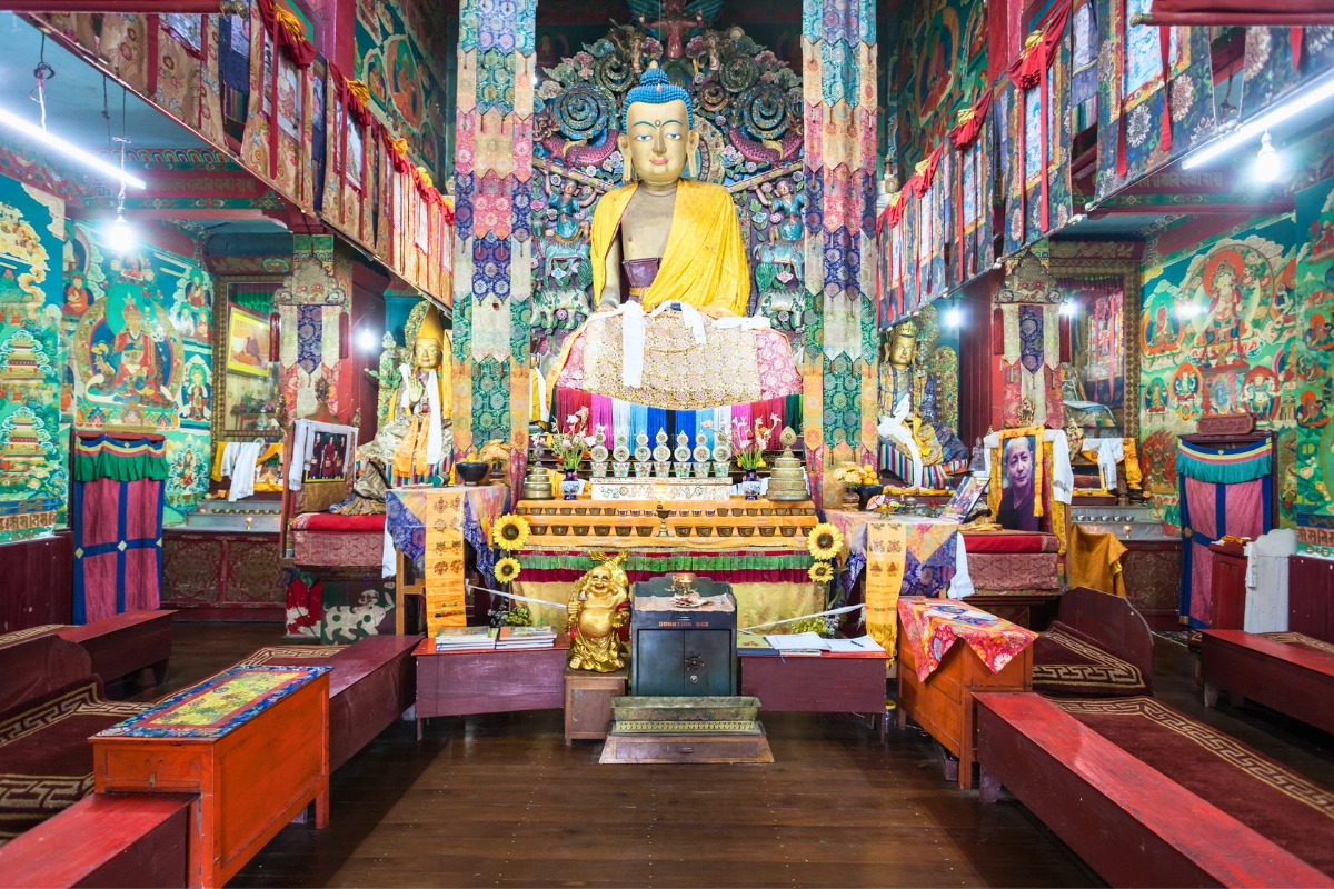 Darjeeling tour featuring Takdah tranquil retreat with forest walks, tea gardens, peaceful mountain settings