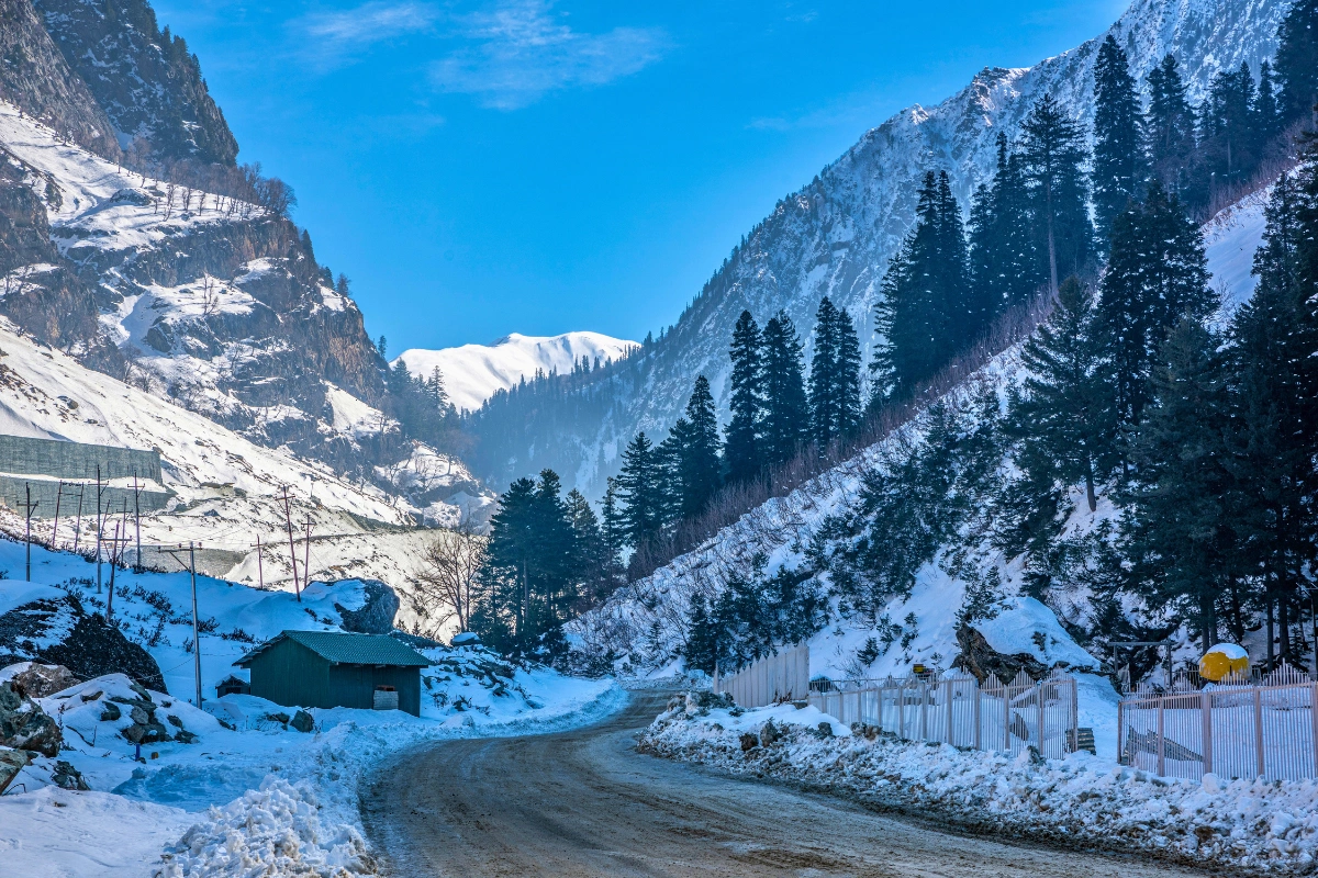 Kashmir tour featuring premium valley circuit with Dal Lake, gardens, Gulmarg cable, Sonmarg meadows, Pahalgam valleys