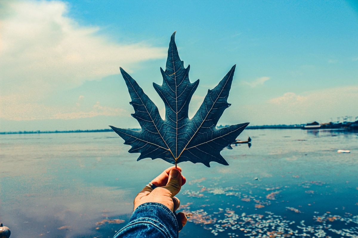 Kashmir tour package featuring comprehensive 8-day experience with Srinagar, Gulmarg, Sonmarg, Doodhpathri, Pahalgam destinations