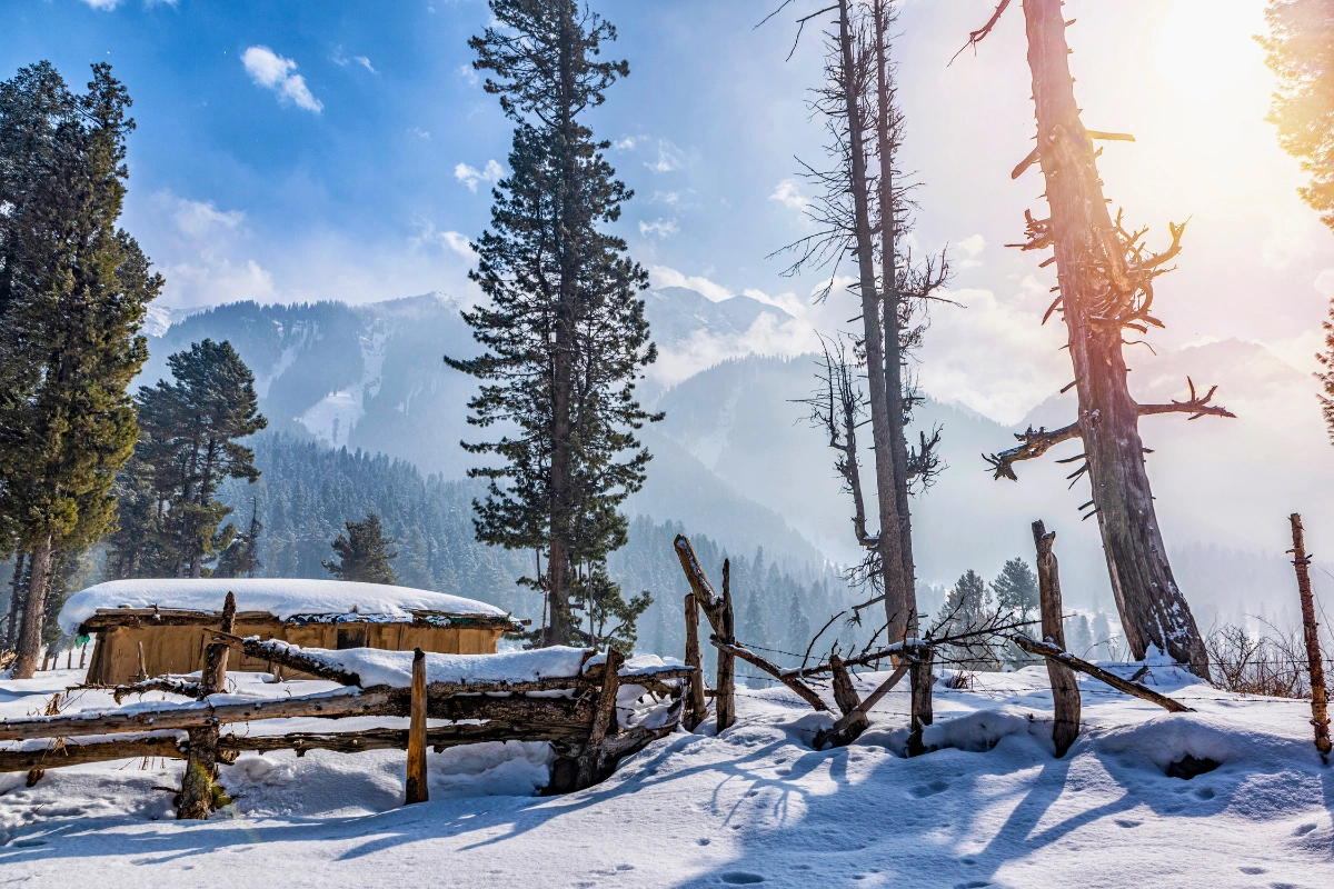 Kashmir tour package featuring thrilling offbeat Gurez Valley adventure, Dal Lake, Sonmarg meadows, Pahalgam rivers, Srinagar houseboat