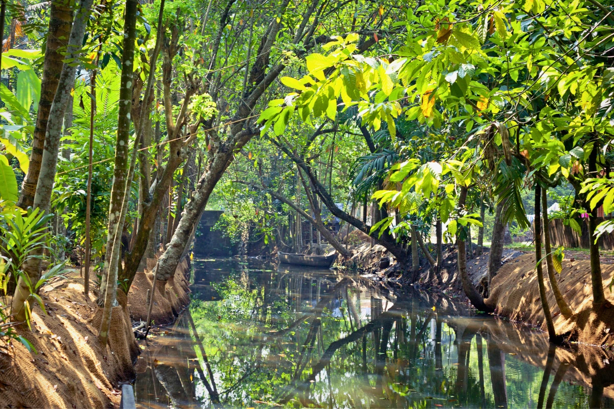 Kerala travel package featuring hill beach discovery tea gardens and coastal experiences