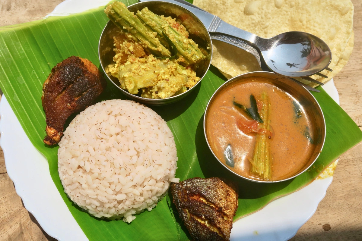 Kerala tourist package featuring natural wonder wildlife sanctuary and beach experiences