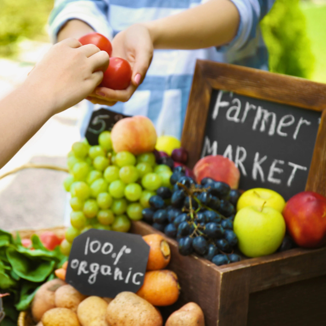 Best Europe Trip Package