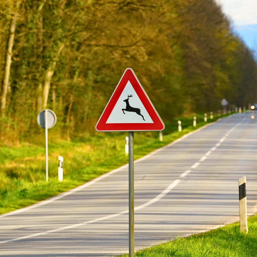 best Europe trip package