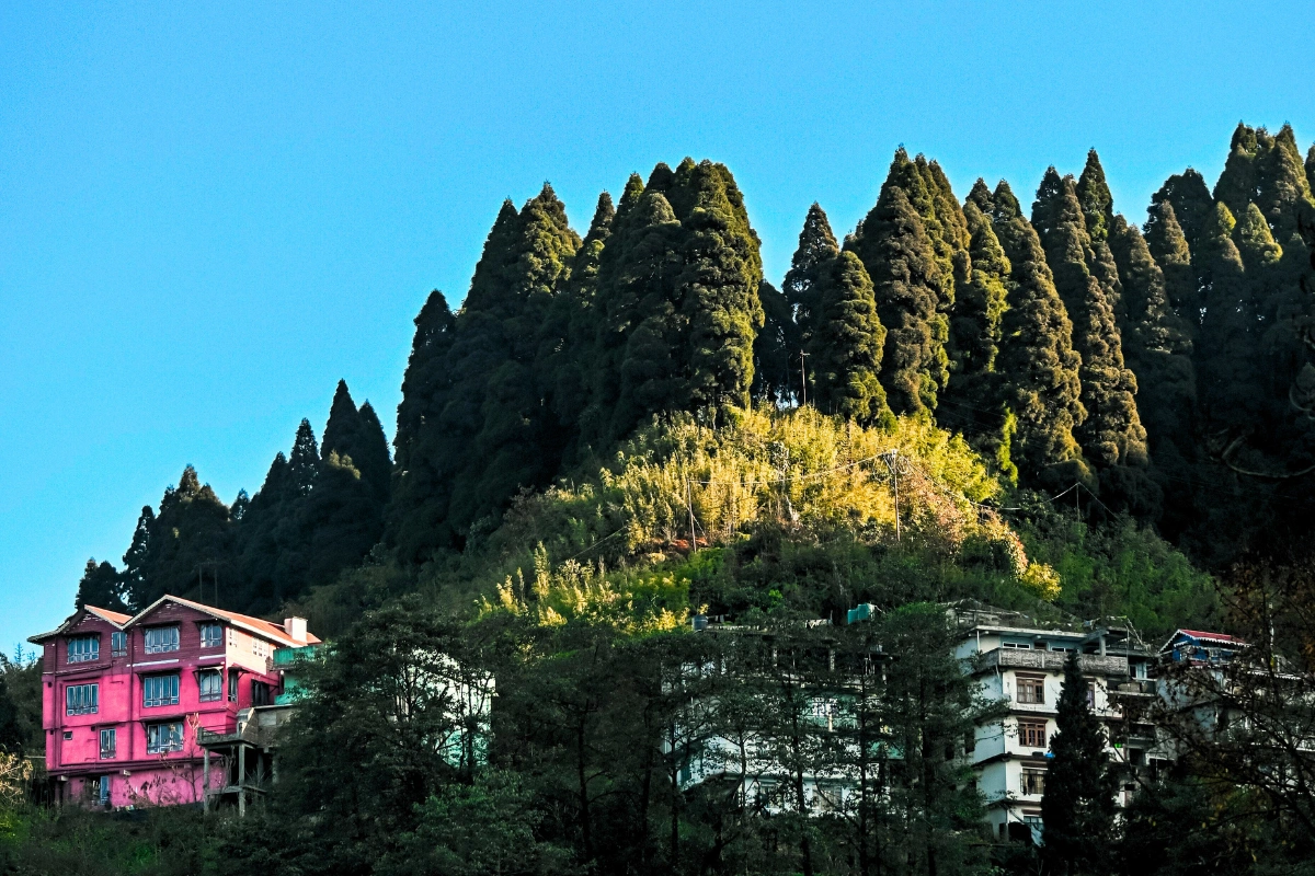 Hidden villages north bengal featuring Majhidhura pine forests, misty valleys, traditional homestay, mountain landscapes