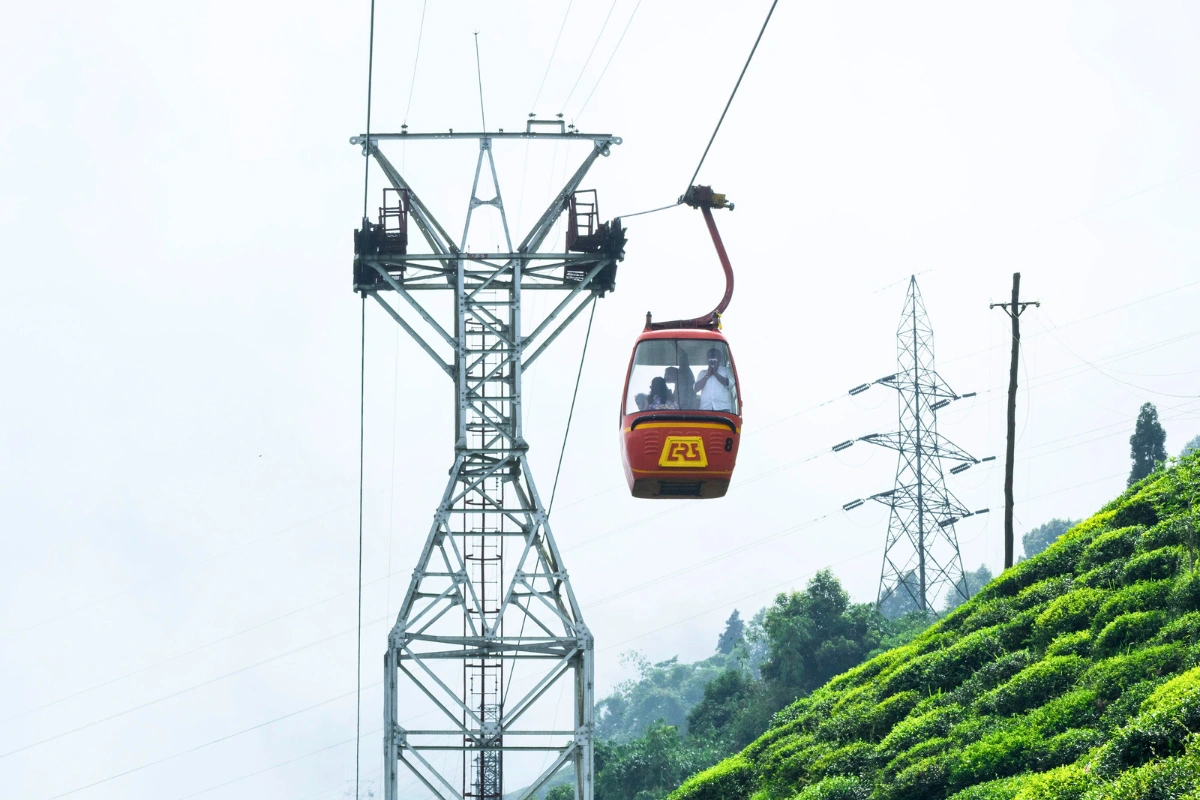 Tinchuley tourism featuring Tinchuley viewpoint, Lamahatta Eco Park, Takdah Orchid Garden, Rangaroon tea estate, Kangchenjunga views