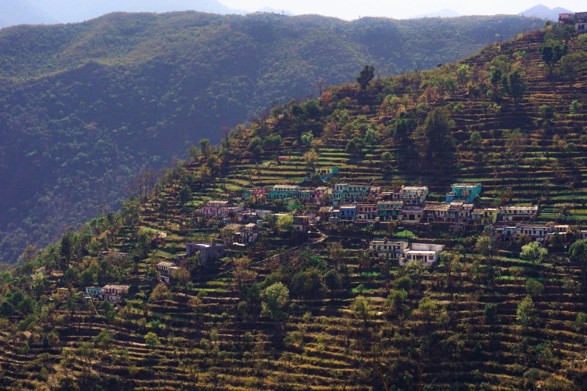 Offbeat darjeeling tour featuring Lolegaon canopy walk, Lepcha village homestay, Kalimpong nurseries, Durpin Monastery, mountain views